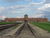 Birkenau gate_tiny